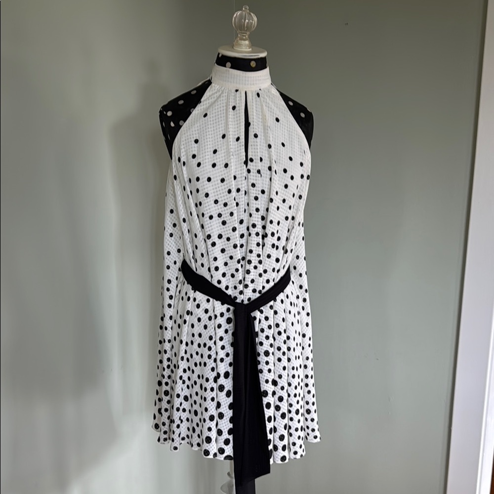 Elegant Black and White Polka Dot Dress